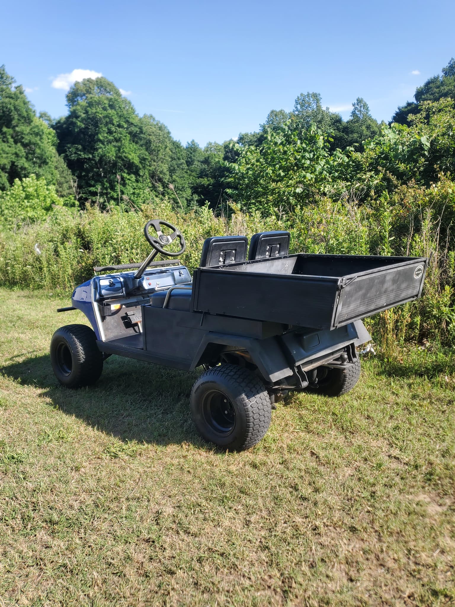 Club car carryall